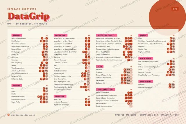 DataGrip riso shortcuts poster preview