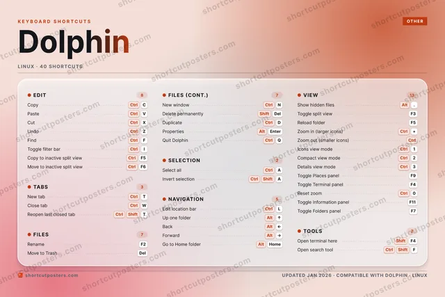 Dolphin aurora shortcuts poster preview