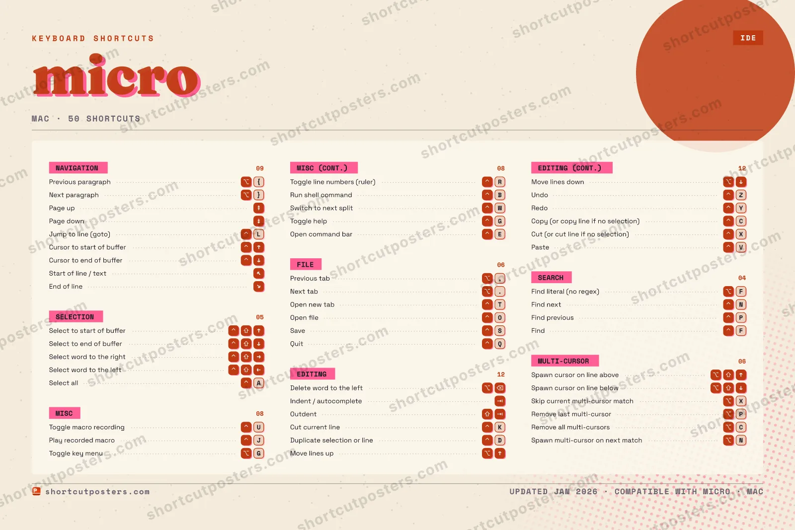 micro riso shortcuts poster preview