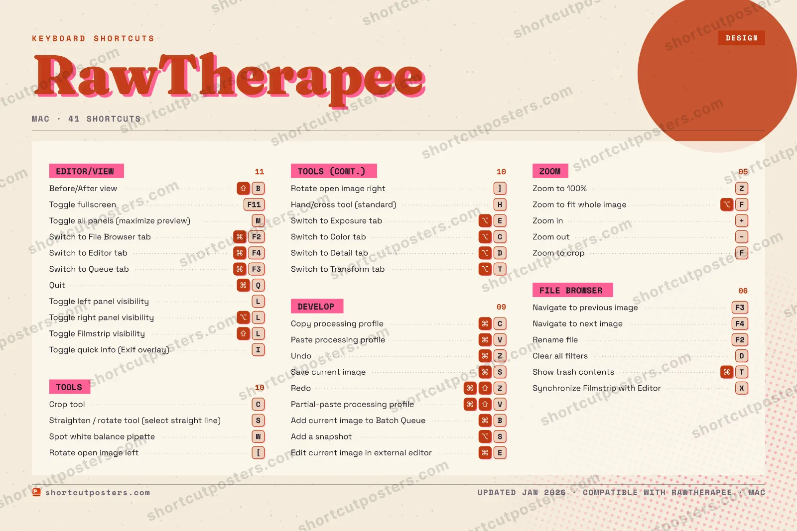 RawTherapee riso shortcuts poster preview
