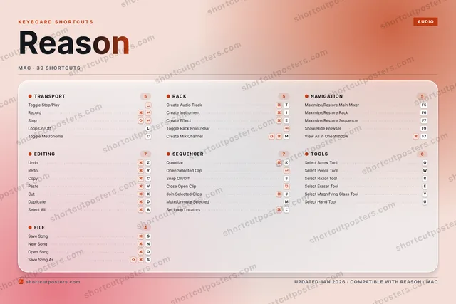 Reason aurora shortcuts poster preview