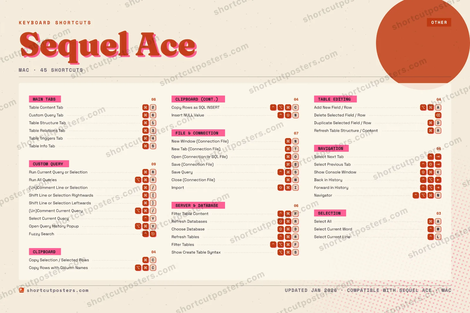 Sequel Ace riso shortcuts poster preview